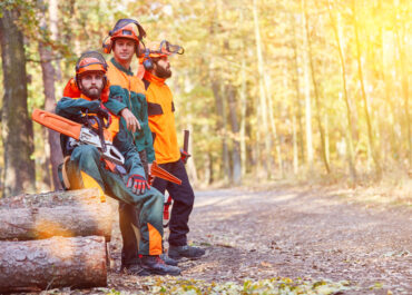 In arrivo per le Regioni 40 milioni di € l’anno per l’attuazione della Strategia Forestale Nazionale