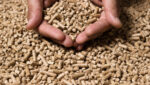 prezzo del pellet a gennaio 2025