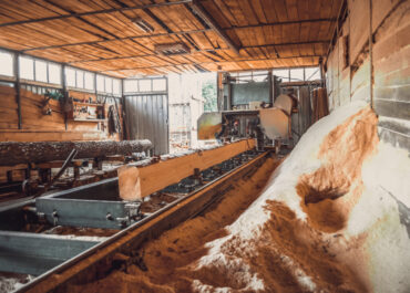 Ultime tendenze economiche nell’industria delle segherie