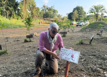 Un raro albero di Kevazingo è stato piantato in Gabon per la Rete Donne Foreste