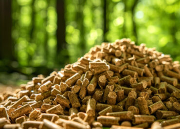 Il mercato mondiale del pellet
