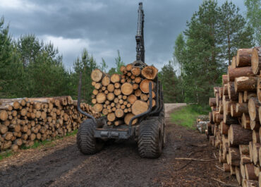 Consultazione UE su semplificazione normativa: Bioenergy Europe chiede modifiche all’EUDR