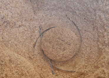 Bando Piemonte: 5 mln € per cofinanziare 30 progetti di impianti termici a biomassa