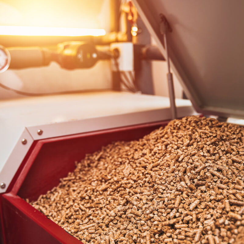 Panoramica sul nuovo sistema dei Certificati Bianchi