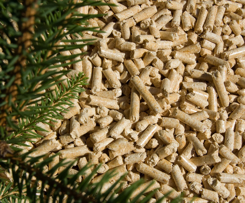 European Pellet Forum 2026