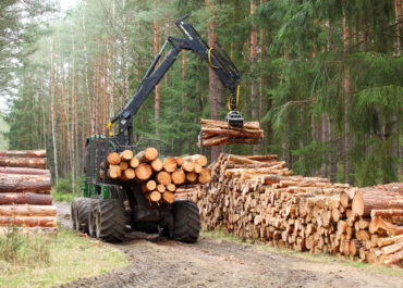 Sostenibilità delle biomasse: quando (non) serve la certificazione di gruppo