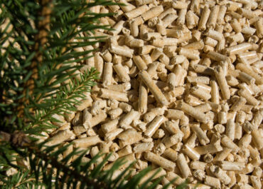 European Pellet Forum 2026: per la prima volta in Italia il meeting europeo della filiera del pellet