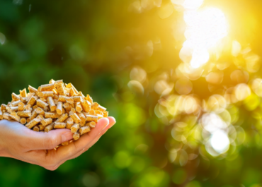 Mercato europeo del pellet: voci, dati e scenari allo European Pellet Forum 2026