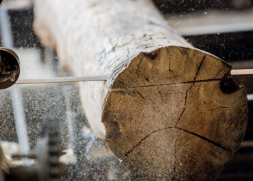 Fabbisogni e politiche del settore forestale: il confronto al Tavolo di Filiera del Legno