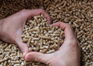 Prezzo del pellet a gennaio 2026