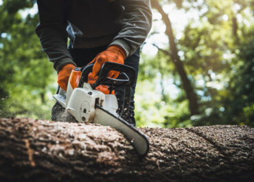 Dal confronto alle soluzioni: le priorità operative per il rilancio della filiera forestale italiana