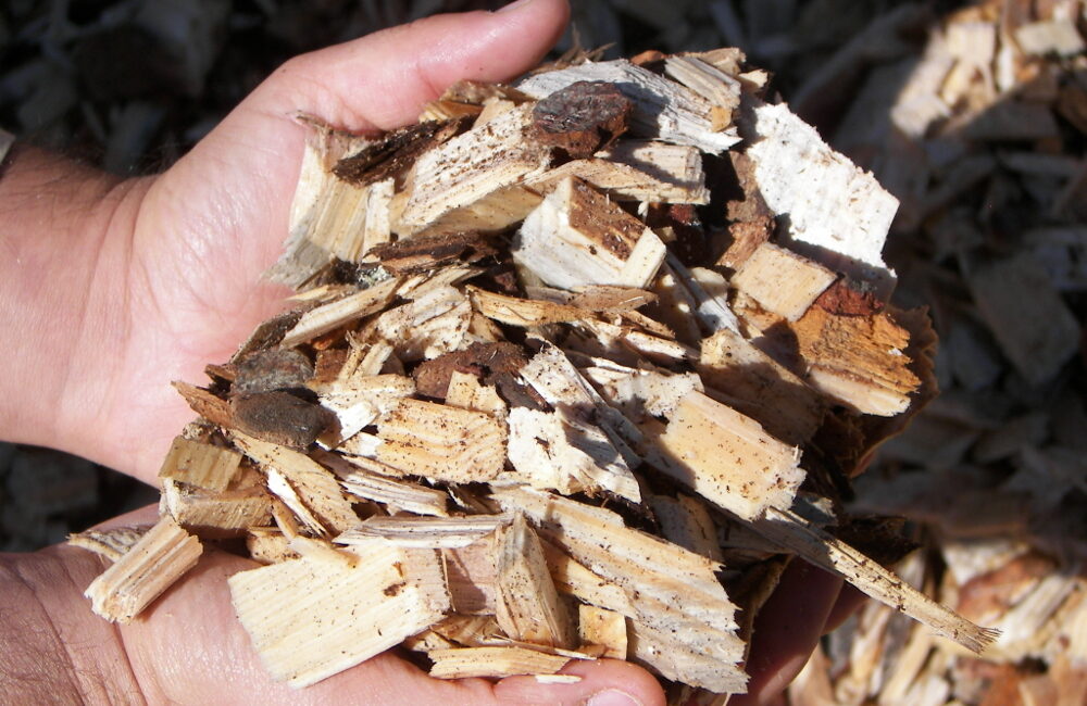 Prezzo del cippato a gennaio 2026