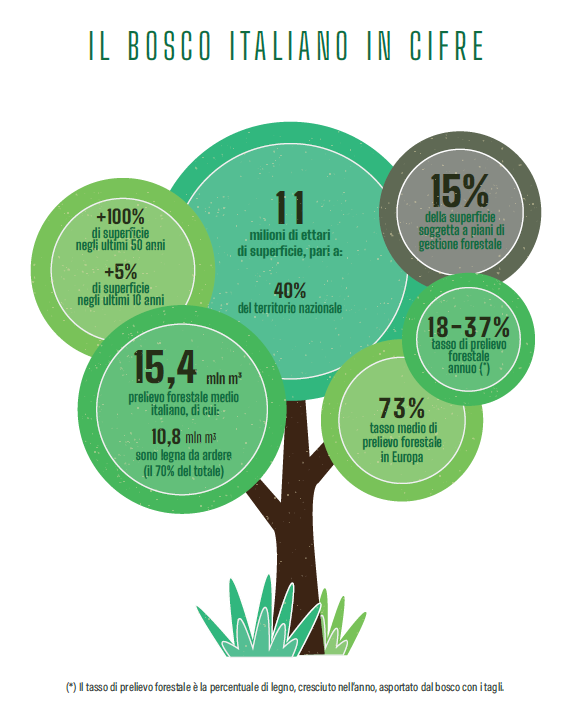 Giornata Internazionale delle Foreste