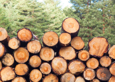 Transizione 5.0 e iperammortamento: per AIEL segnali positivi dal Governo, ora includere anche gli impianti a biomasse