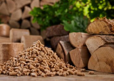 Legno-energia: AIEL, filiera strategica per crescita e competitività