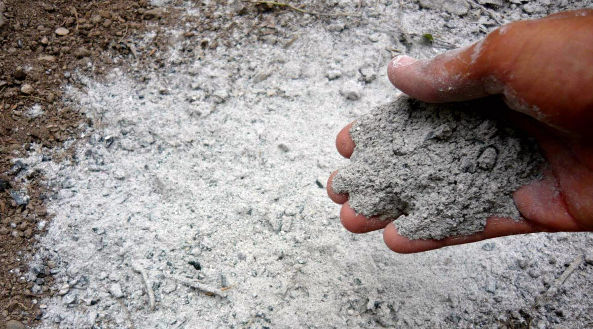 Cenere di legna come fertilizzante