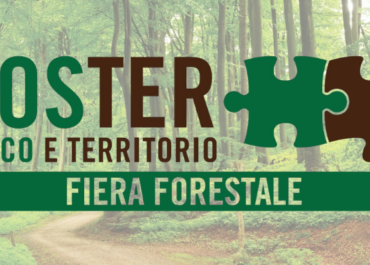Fiera forestale BOSTER 2026: macchine in bosco e filiera legno-energia a Oulx (Alta Valle Susa)