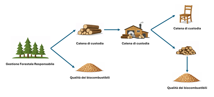 Certificazioni biomasse legnose
