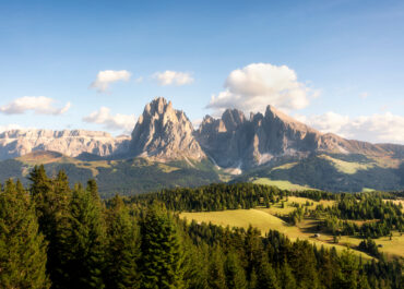 Bosco legno energia: come stanno le filiere