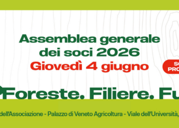 Foreste. Filiere. Futuro: il 4 giugno a legnaro il confronto sulla transizione energetica