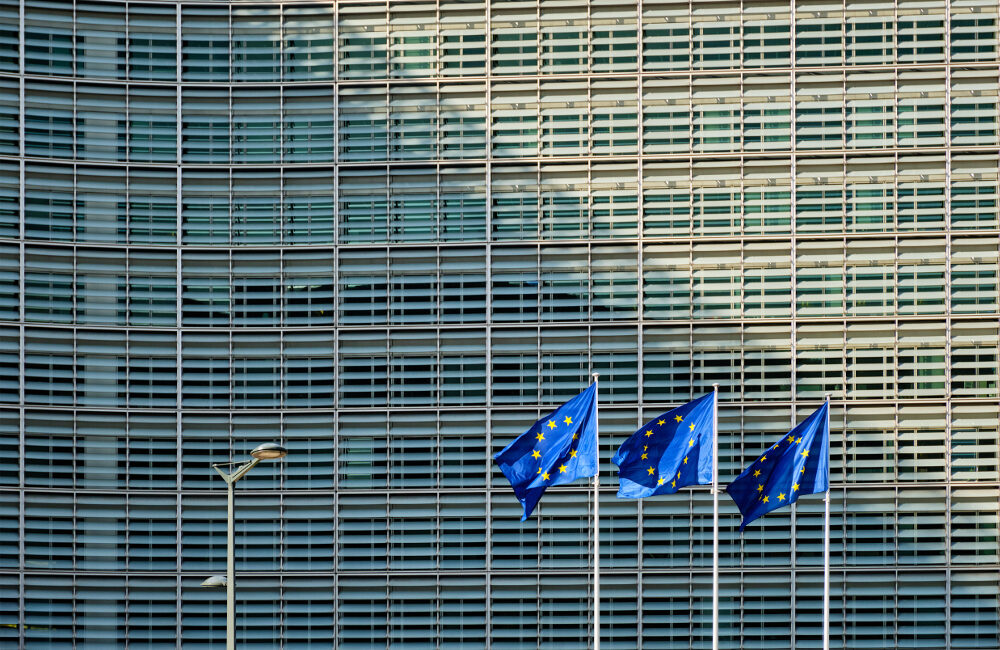 Politiche UE su biomasse e bioenergie