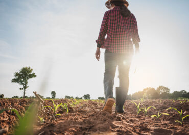Donne, agricoltura, foreste, rurale: contare per contare