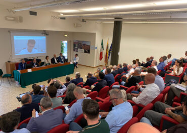 AIEL: filiere forestali unite per rafforzare il ruolo del legno e delle bioenergie nella transizione energetica