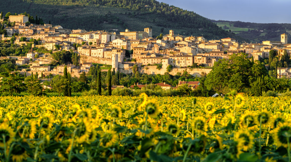 Bando biomasse Umbria 2026