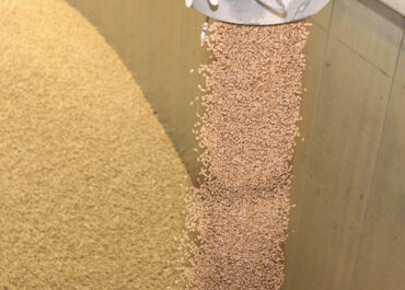 Mercato del pellet: ripresa, nuove sfide e scenari in evoluzione