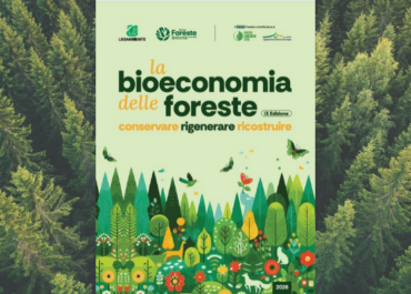 I dati del nuovo report di Legambiente presentato oggi al IX Forum Foreste
