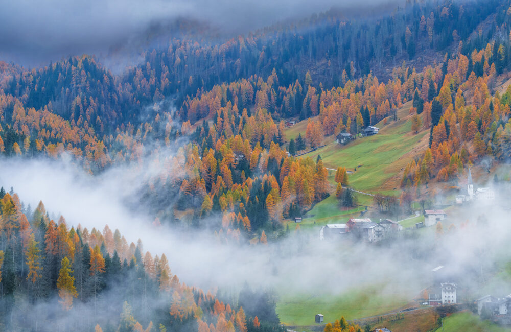 filiera foresta-legno in Veneto