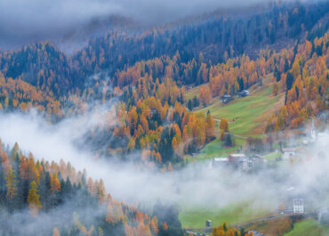 Filiera foresta-legno in Veneto: le proposte di AIEL al Tavolo Tecnico Forestale