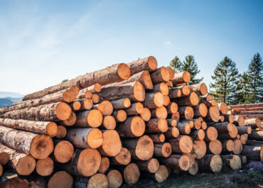 Legno Energia Italia: a Roma il confronto sul futuro della filiera bosco-legno-energia