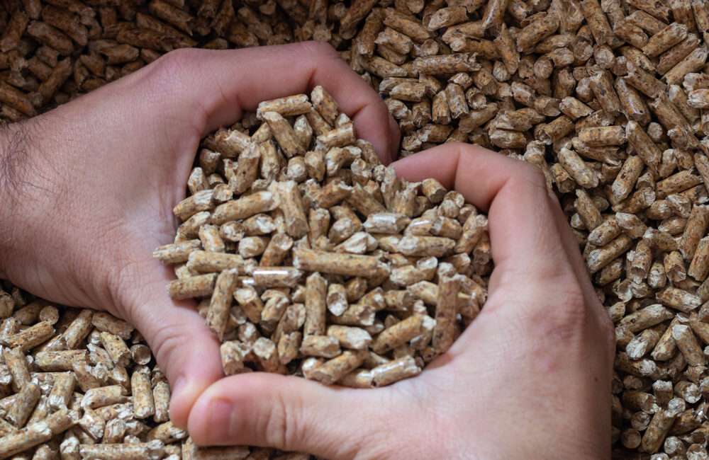 Prezzo del pellet a settembre 2026